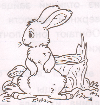 Задание рисунок 1