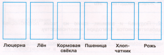 Задание рисунок 1