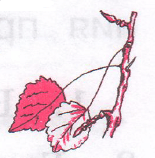 Задание рисунок 1