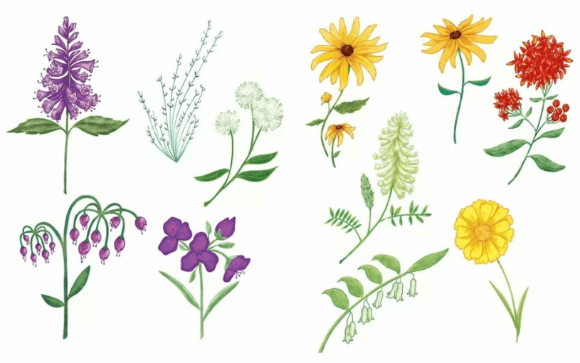 Решение рисунок 1