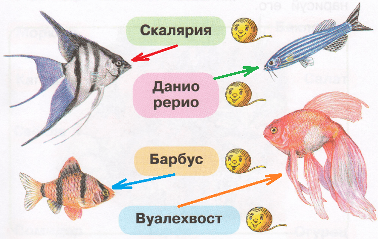 Решение рисунок 1