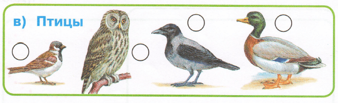 Задание рисунок 3