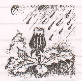 Задание рисунок 2