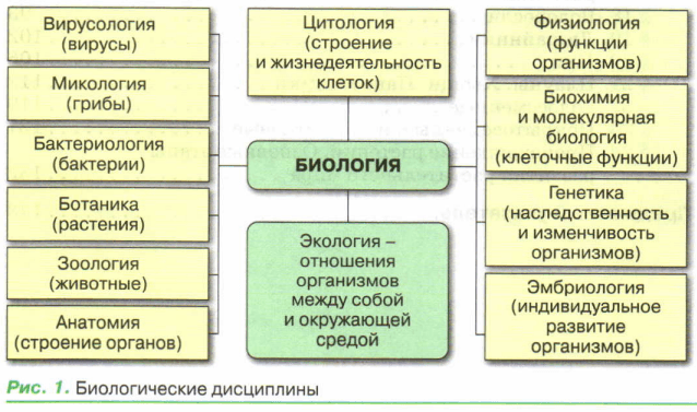 Задание рисунок 1